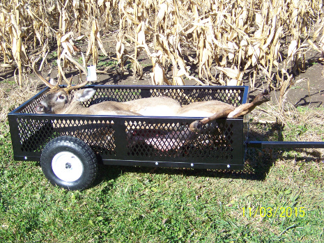ATV trailer